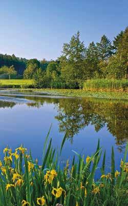 Der Old Course mit einem malerischen See, der einer englischen Parkanlage gleicht, gehört laut DGV zu den 20 anspruchsvollsten Plätzen der Bundesrepublik.