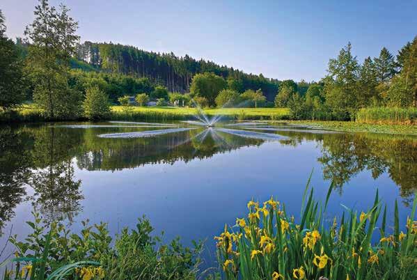 Besonderes Highlight ist das Loch 15 Inselgrün, das zu den zehn schönsten Par 3 Löchern Deutschlands zählt dies liegt am vierten See, der nach Eigentümer Fürst Johannes zu Waldburg-Wolfegg-Waldsee