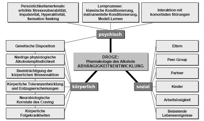 1 Einleitung und Problemstellung Abbildung 1.2: Biopsychosoziales Faktorenmodell der Alkoholabhängigkeit nach Krampe u. Ehrenreich [2006] 2001] und [Cox et al.