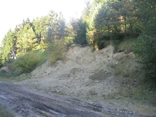 Juni 2007 1 Einleitung Die Rommersheimer Trasse in der Prümer Mulde ist seit vielen Jahren eine sehr ergiebige Fundstelle für mitteldevonische Crinoiden.