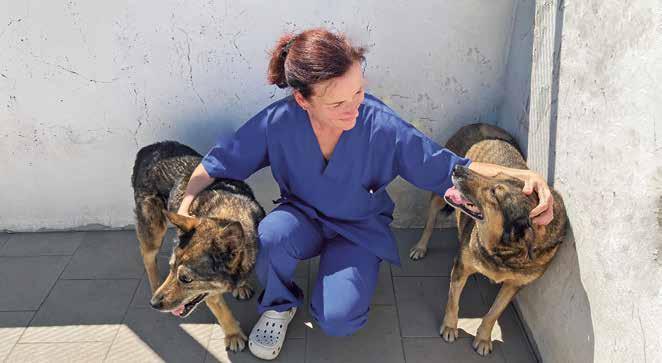 TIERSCHUTZZENTRUM ODESSA: UNGEWISSE ZUKUNFT Der Deutsche Tierschutzbund engagiert sich seit dem Jahr 2000 für die Straßentiere in der ukrainischen Hafenstadt Odessa.