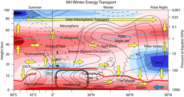 winterliche Arktis gebracht, während latente Wärme (Feuchtigkeit) fast ausschließlich von der unteren Atmosphäre transportiert wird. Abbildung 3.
