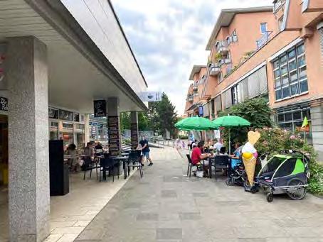 Kleingärten Blasewitz liegt mit 3,3 Kleingärten auf 100 Einwohner leicht unter dem Dresdner Durchschnitt (von 4, Kleingärten auf 100 Einwohner).