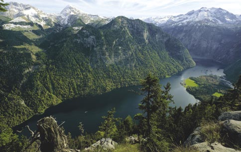 wiesen. Davon waren acht Arten neu für die Wissenschaft, einige Arten stehen zur Neubeschreibung an. Im letzten Jahr ist der Forschungsbericht 51 Quellen im Nationalpark Berchtesgaden.