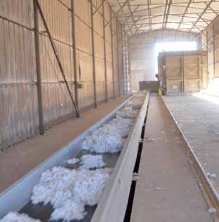 > 2 Vom Baumwollfeld zum Weltmarkt in Sambia einige Entkernungsfabriken den transnationalen Unternehmen Dunavant und Cargill.