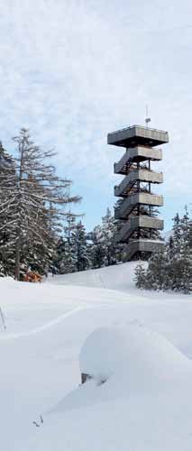 Skitouren in aufgelassenen Skigebieten und Gebieten ohne Liftbetrieb Axamer Lizum Aufschließungs AG Axamer Kögele (2.097 m) Grünberg (1.