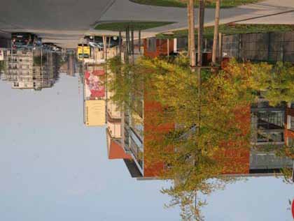 106 Anpassung an den Klimawandel - Bestandsaufnahme und Strategie für die Stadt Karlsruhe gehäuft vorkommt und durch Ausreißen, regelmäßige Mahd und Mulchen bekämpft wird (siehe im Kapitel Gesundheit