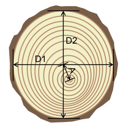 Exzentrizität der Markröhre Definition Messung Abweichung der Lage der Markröhre vom geometrischen Mittelpunkt der Querschnittsfläche des Rundholzes Hinweis: Der geometrische Mittelpunkt ist der