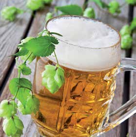 79 Deutsches Reinheitsgebot: Bei uns gebrautes, für den deutschen Markt bestimmtes Bier darf nichts weiter enthalten als Hopfen, Malz, Hefe und Wasser.
