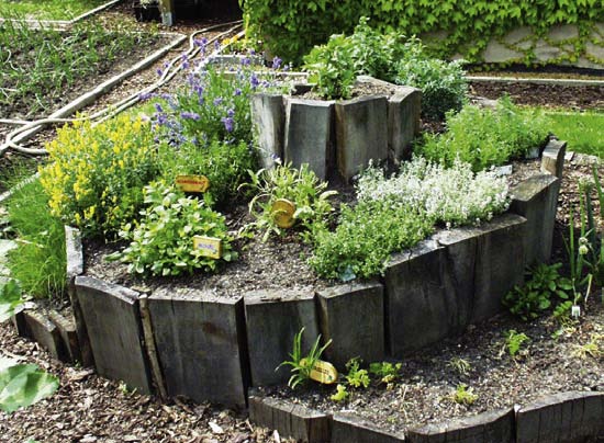 Das bunte Grün Kleingärten in Berlin Gesunde Pflanzenabfälle und alle anderen Materialien, die sich kompostieren lassen, gehören auf den Kompost. Sie zu verbrennen, ist verboten.