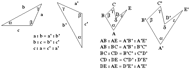 Zwei Figuren sind ähnlich, wenn sie in ihren Winkeln übereinstimmen und gleiche Winkel umfassende Seiten in Proportion stehen, d.h. das gleiche Längenverhältnis aufweisen (s. Abb. 11). Abb.13).