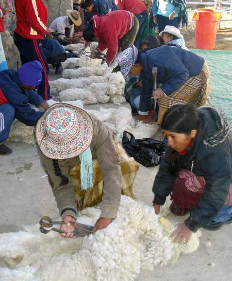 Die Methoden dafür sind vielfältig: Auf dem Land fördert sie beispielsweise die Lama- und Alpakazucht, in der Stadt hilft sie, Armenviertel schöner und erdbebensicherer zu machen, im Rohstoffsektor