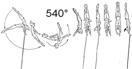 d. Handstand, auch mit (360 ) i.d. Handstand 1½ Dre. (540 ) i.d. Handstand gesprungenem Griffwechsel i.