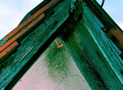 Enge Spalten als Einschlupf zum Dachboden sind nicht optimal, werden aber von Fledermäusen oft toleriert.