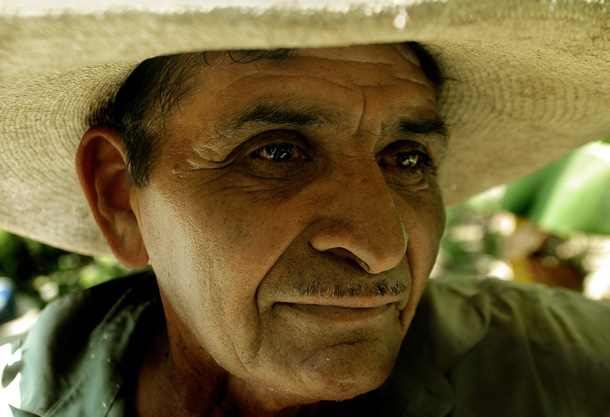 Bananero, Peru Pérou Hildebrando Siancas Ordinola, 63, Bananero, Kooperative Apoq, Peru: «Ich wünsche mir, dass die Menschen im Norden weiterhin unsere Bio-Bananen konsumieren.