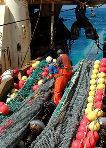 Fischerei in der Krise Das schwere Grundschleppnetz eines Trawlers im Nordwest-Atlantik auf der Jagd nach Rotbarsch. Lange galten die Fischvorkommen in den Weiten der Meere als unerschöpflich.