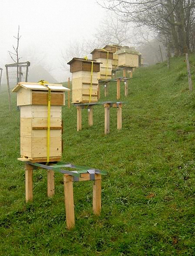 Bienenvolkes gewähren, ohne die Beuten öffnen zu müssen. 4. Ausrüstung für den Imker Eine gewisse Grundausstattung benötigt jeder Imker für seine Arbeit.