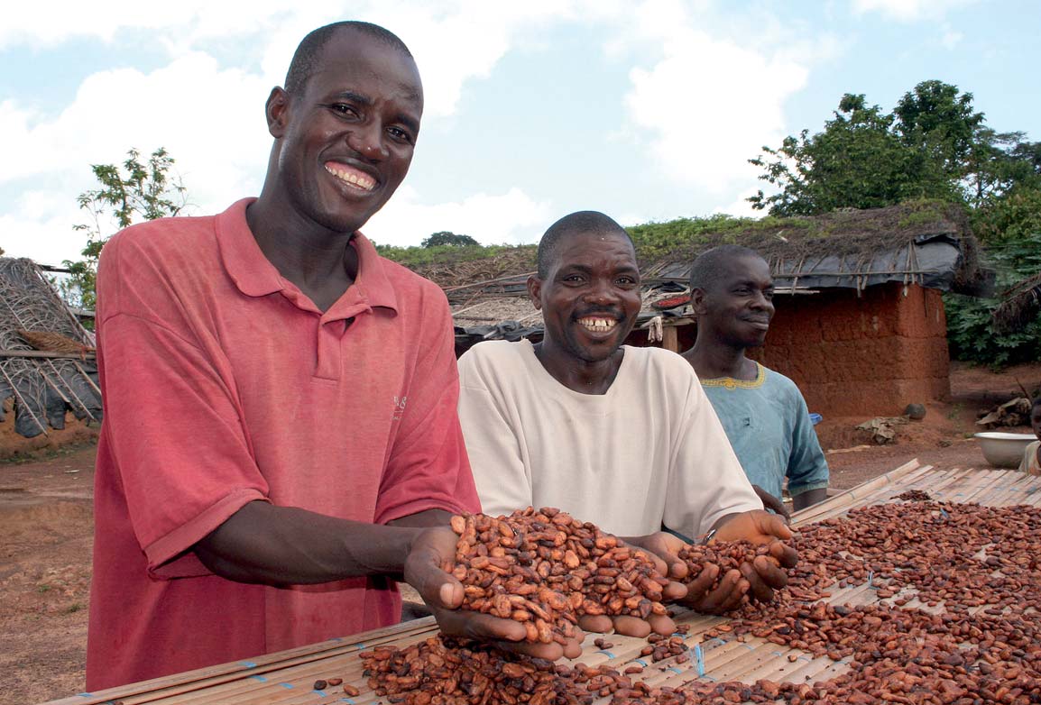 3. Entwicklung und Struktur des Kakaoanbaus in Ghana 3.