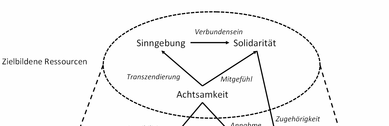 wenig steuerbare kulturelle bzw. historische Ereigniskonstellationen, sondern zeigt eine an der Aktivierung von psychischen Ressourcen ausgerichtete Systematik auf.