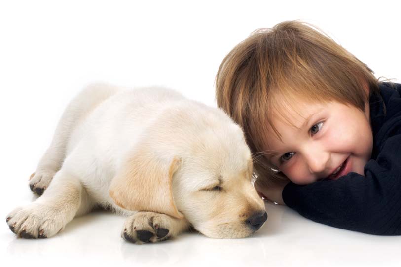 So wird der Haushalt kindersicher 3.5 Haustiere Wichtig ist, die Kinder nicht mit Haustieren alleine zu lassen.
