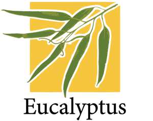 Services und Eucalyptus Die Amazon Web Services (AWS) sind eine Sammlung verschiedener