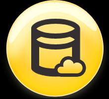 Applikationsintelligenz für Exchange, SQL, System State Sichere verschlüsselte Backups Cloud-basierte Wiederherstellung an jedem Ort Erleichtert