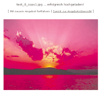 Bild- und PDF-Upload ::ledermann.biz Content Management System 4.