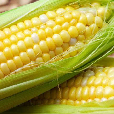 Wichtige Rohstoffe (V) Agrarrohstoffe: Mais, Weizen, Sojabohnen, Starke Beeinflussung durch Sonderfaktoren: Bevölkerungsentwicklung Klimatische Bedingungen Schädlingsplagen und Seuchen