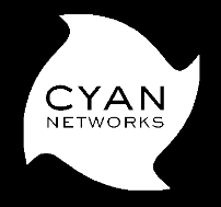 CYAN Secure Web bietet den folgenden Funktionsumfang: Kategorie Datenbank der Webseiten Cyan-DB: 25 Millionen Domains 29 Kategorien Virusscanner am Gateway Applikationsfilter: Audio/Video, Messenger,
