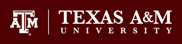 Fertiger Bericht meines Auslandsjahres 2010/2011 Gastuniversität: Texas A&M