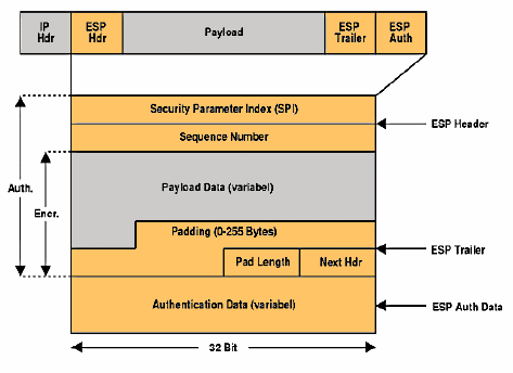 Abbildung 10: Encapsulated Security Payload Paket In Abbildung 10 (andere Darstellung) wird