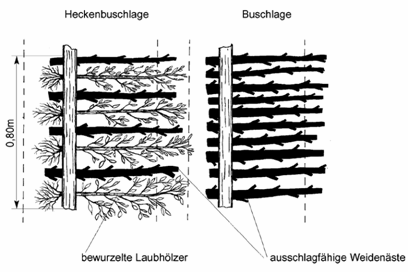 bepflanzt Stirnseite des Lärmschutzwalls: mit Buschlagen