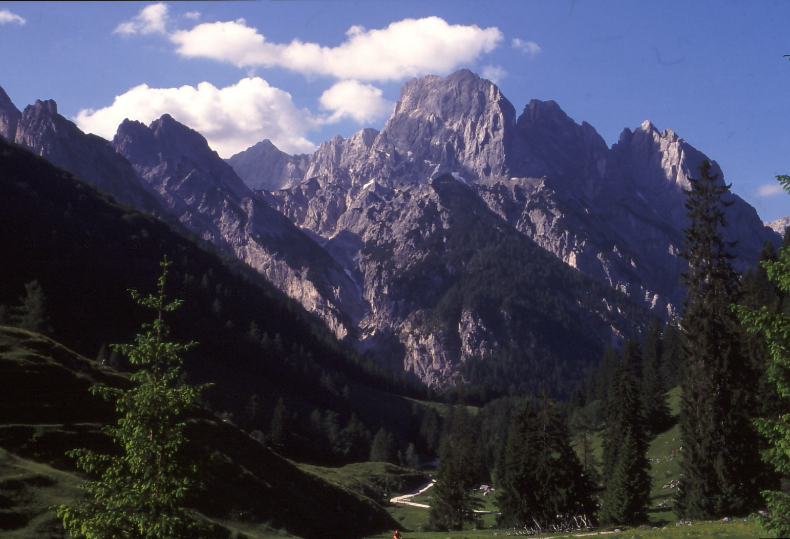 Auswirkung der Klimaveränderung auf die Biologische Vielfalt in den Alpen Netzwerke für Artenvielfalt Wartaweil, 23. Juni 2007 Wartaweil, Einführung Dr.