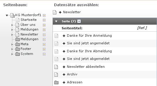 Zugriff erteilen Sie können dem Benutzer Zugriff auf einzelne, mehrere Seiten, Unterseiten, Ordner aber auch auf den ganzen Seitenbaum gewähren.