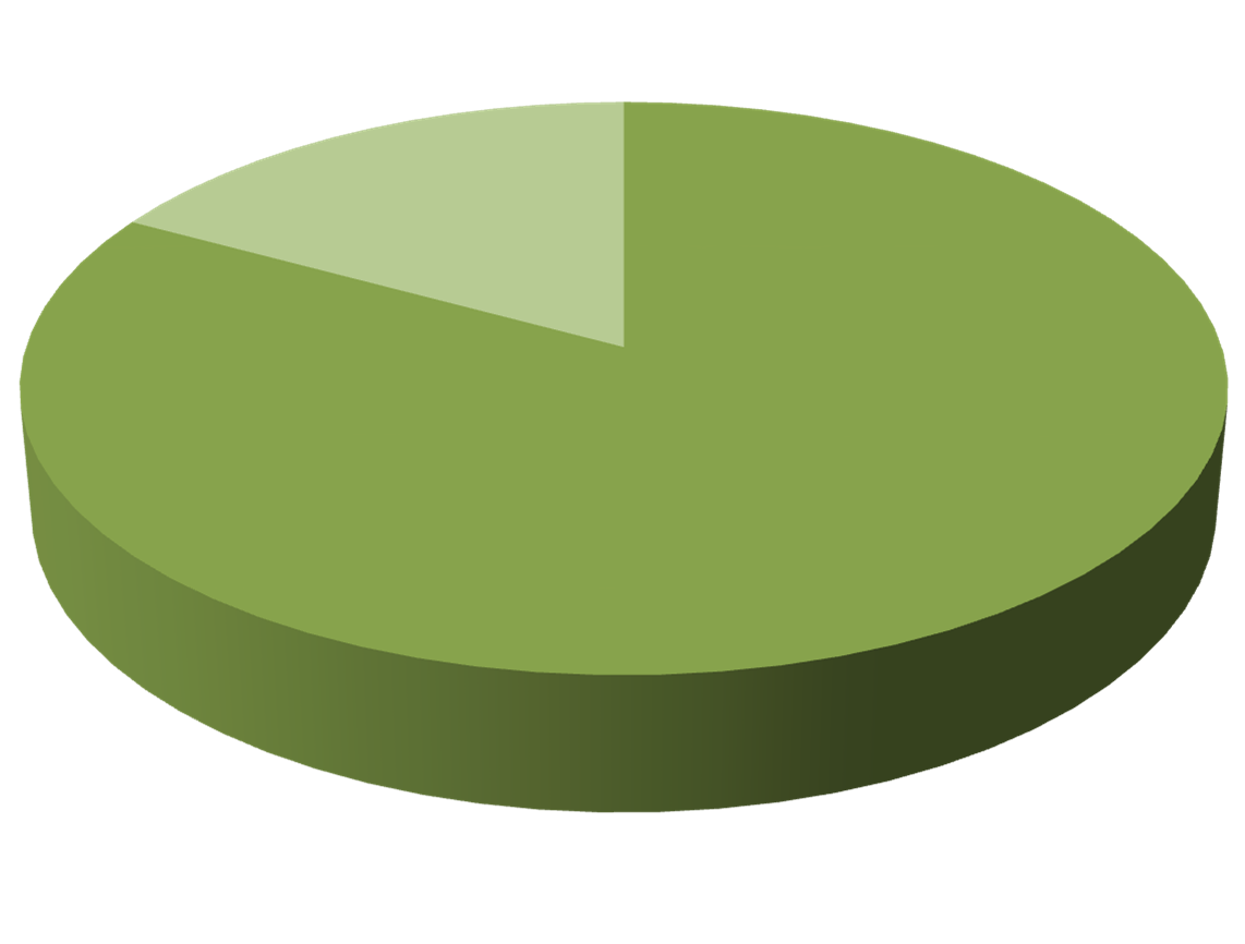 4. Ergebnis der Kundenumfrage Ergebnis: 83% (2013 = 69%) der befragten Unternehmen könnten sich den Einsatz eines Interim