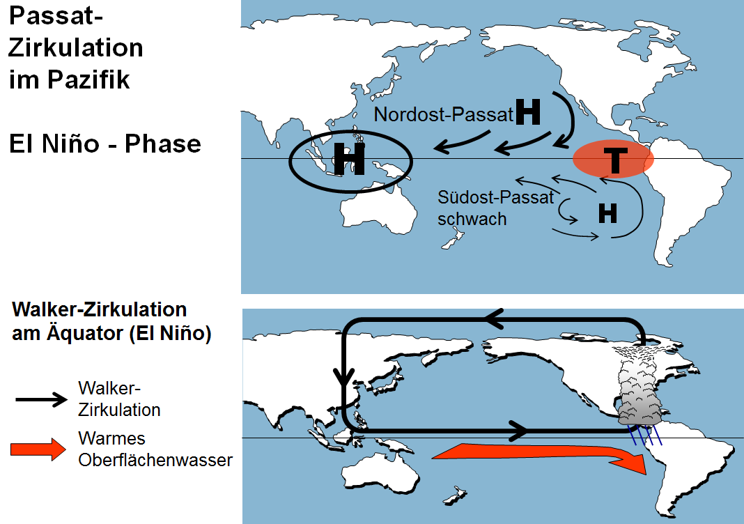 Die Beeinflussung der Meeresströmung Die kräftigen Südostpassate sind die Ursache für eine ausgeprägte Ost-West gerichtete Meeresströmung im äquatorialen Pazifik.