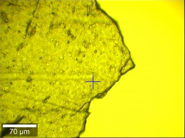 9. Untersuchung von Mikroplastik in einer Ostseeprobe Partikel >