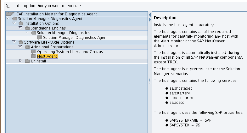 SAP Solution Manager 7.0 EHP1 - Entry by Component (z.b.) - Agents for managed systems - Diagnostics Agenst 7.2 und dann die passende Betriebssystemversion auswählen, in meinem Fall Linux 64 bit.