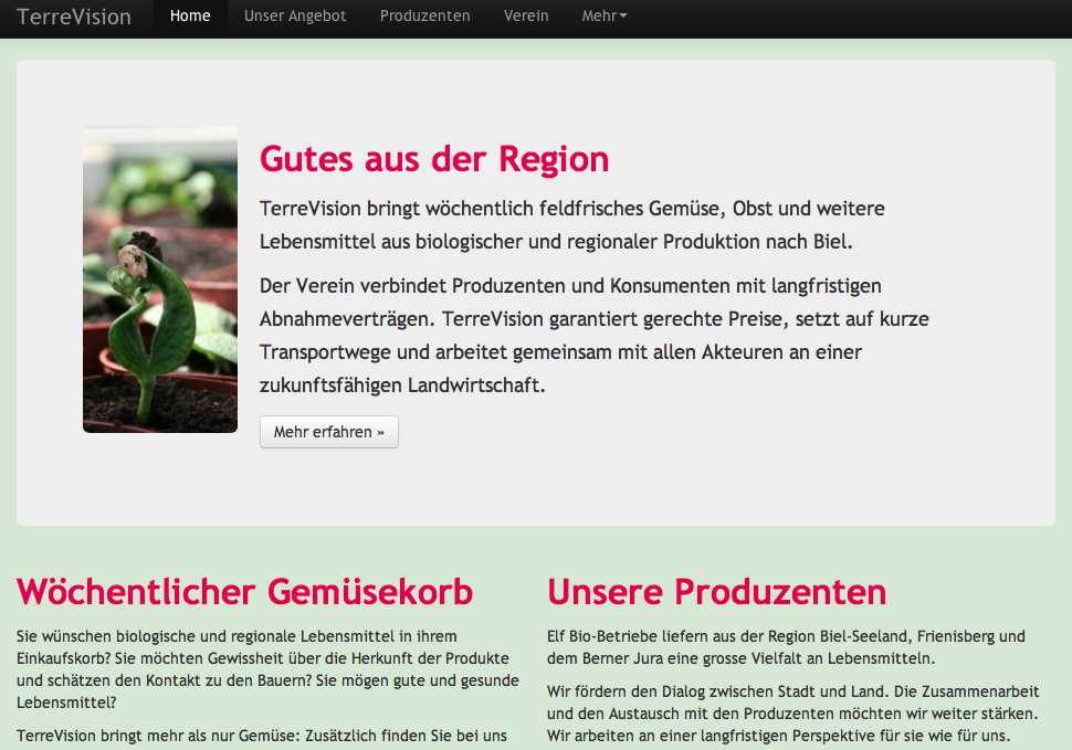 Abb. 15: Webseite Terrevision (Terrevision 2014d) Dem Betrachter dieser Internetseite stechen sofort die roten Sätze "Gutes aus der Region", "Wöchentlicher Gemüsekorb" und "Unsere Produzenten" ins