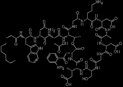 Daptomycin - Interaktionen Interaktionen Gering bzw. kein CYP450 vermittelter Metabolismus -cave: 1.
