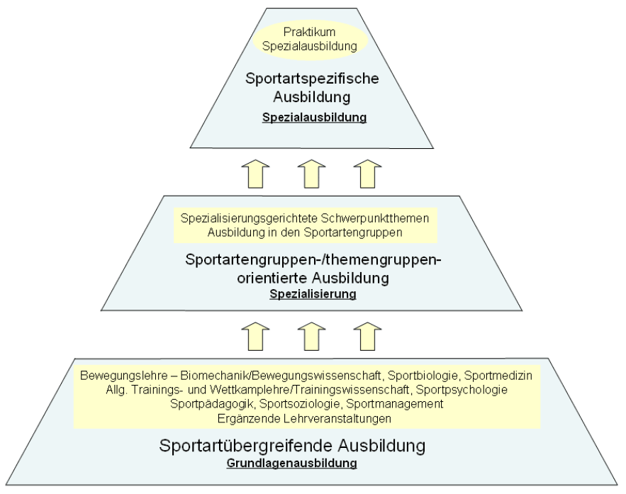 Abbildung 13: Struktur des Diplom-Trainer-Studiums an der Trainerakademie Köln des DSB (Trainerakademie Köln des DSB e.v., 2004, S.