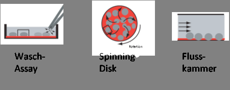 Stand der Technik 3 Adhäsionsassays: - Adhäsions- / Proliferationsassays - Assays auf der Basis von Scherstress - Waschassay - Spinning Disc Assay - lateral flow Assays -