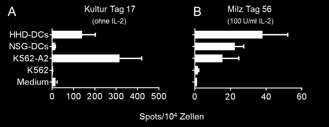 Ergebnisse NSG-HLA-A2/HHD DCs aus, die Reaktion gegen K562-A2 war hingegen im Vergleich zu den Kulturzellen abgeschwächt.
