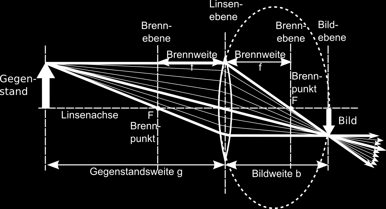 3 Linsengleichung und Akkommodation 3.1 Repetition: Die Linsengleichung Im folgenden Abschnitt repetieren wir nochmals kurz das bereits behandelte Wissen über Abbildungen mit dünnen Sammellinsen.