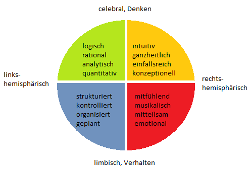 2.4 Rechte versus linke Gehirnhälfte Abbildung 2-2 Bildquelle: http://haa-s.de/lernen/hdiana.pdf (01-02-09) Was die Emotionen anbelangt, befindet sich das limbische System mitten im Gehirn.