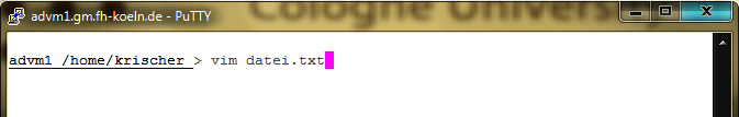 Abbildung 4: Login unter Unix mit bereits eingegebem Passwort Abbildung 5: Unix Serverbegrüßung und Befehlszeile Abbildung 6: Start des Editors Vim mit der Datei datei.