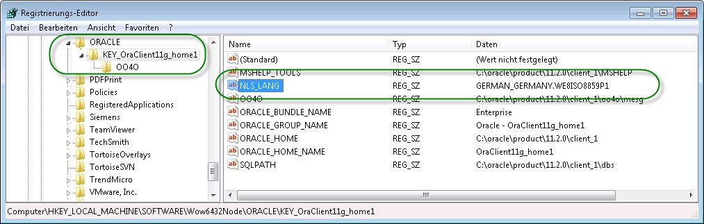 Windows Registry (auf den eingesetzten Terminalservern) auf die Einstellung des Oracle- Datenba