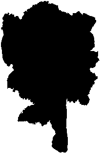 LRA Starnberg GeoLIS Maßstab 1: 25000