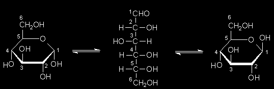 Kohlenhydrate 3 Glucose ist das wichtigste Monosaccharid in der belebten Natur. 3a Erklären Sie anhand der folgenden Skizze den Begriff Mutarotation. (1 Pkt.