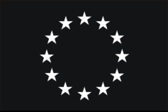 Das EU-Parlament ist schon weiter EUROPEAN PARLIAMENT 2004-2009 WRITTEN DECLARATION pursuant to Rule 116 of the Rules of Procedure by Zita Gurmai, Anders Wijkman, Vittorio Prodi, Umberto Guidoni and